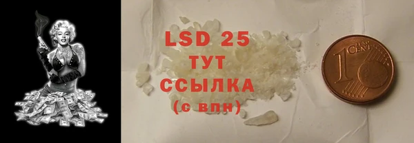 ГАЛЛЮЦИНОГЕННЫЕ ГРИБЫ Абаза