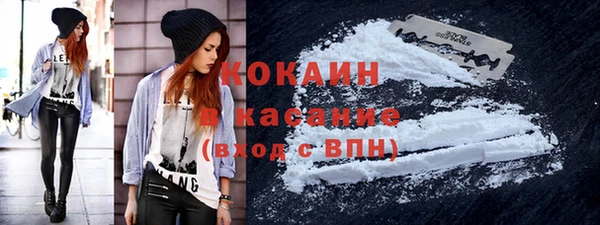 крисы Сосновка