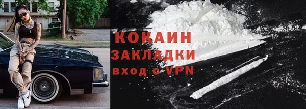 ГАЛЛЮЦИНОГЕННЫЕ ГРИБЫ Абаза