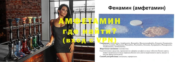 ГАЛЛЮЦИНОГЕННЫЕ ГРИБЫ Абаза