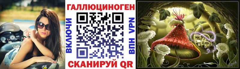 Галлюциногенные грибы Cubensis нарко площадка клад Ефремов