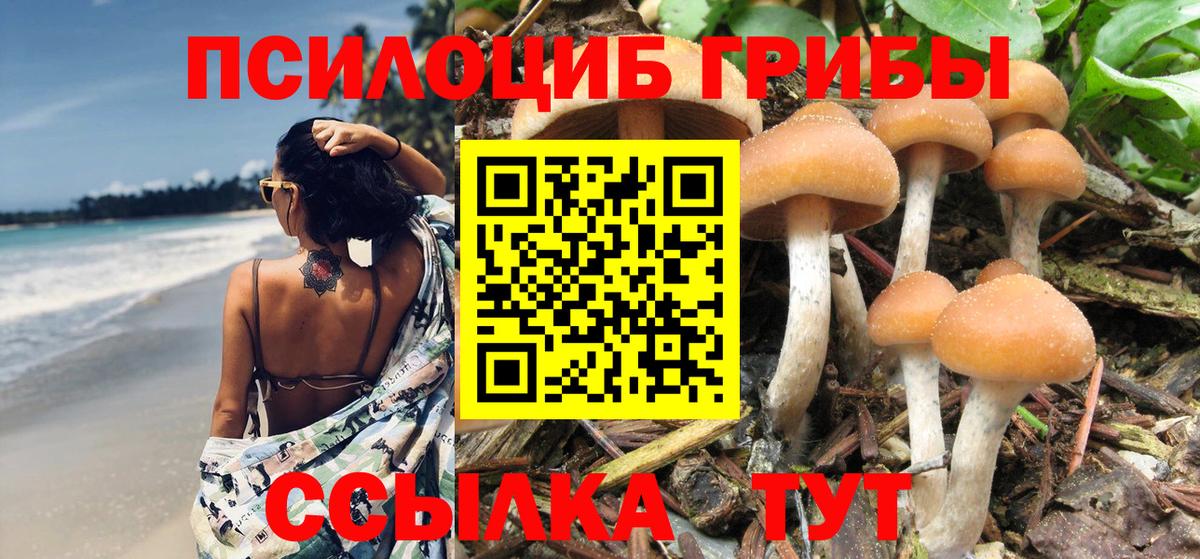 Псилоцибиновые грибы GOLDEN TEACHER  Вход с VPN  Ефремов 